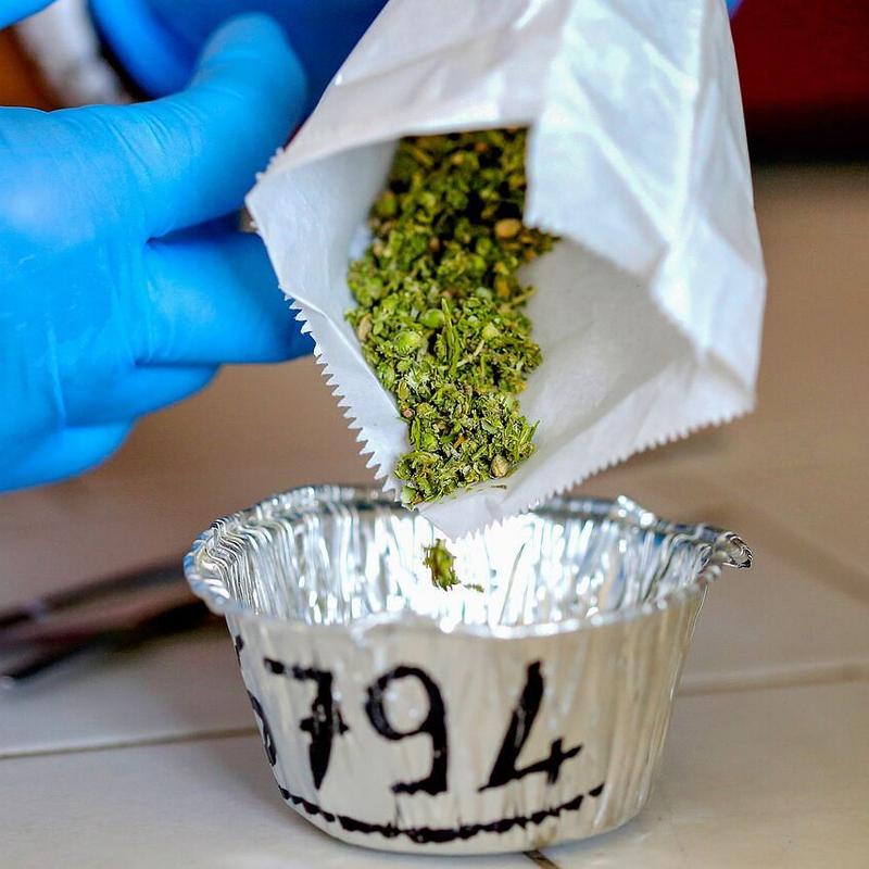 ссылка mega дарк нет